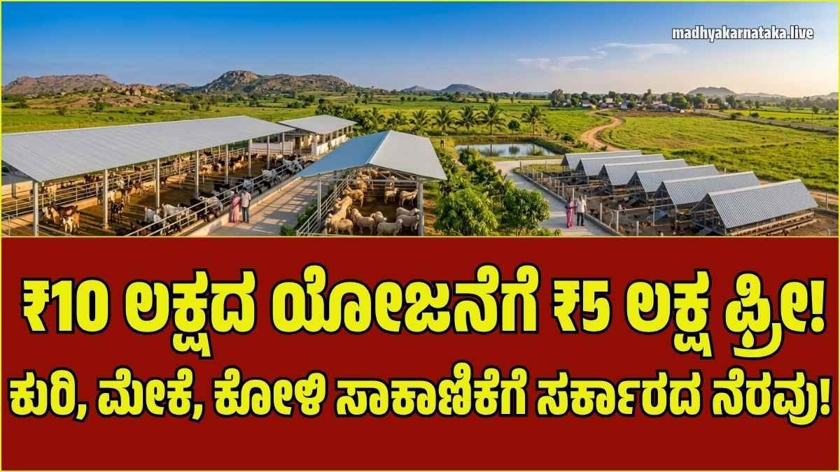 ರೈತರಿಗೊಂದು ಸಿಹಿ ಸುದ್ದಿ: ಕುರಿ, ಮೇಕೆ, ಕೋಳಿ ಸಾಕಾಣಿಕೆಗೆ ಸಿಗಲಿದೆ 50% ಸಬ್ಸಿಡಿ – ಅರ್ಜಿ ಸಲ್ಲಿಸುವುದು ಹೇಗೆ?